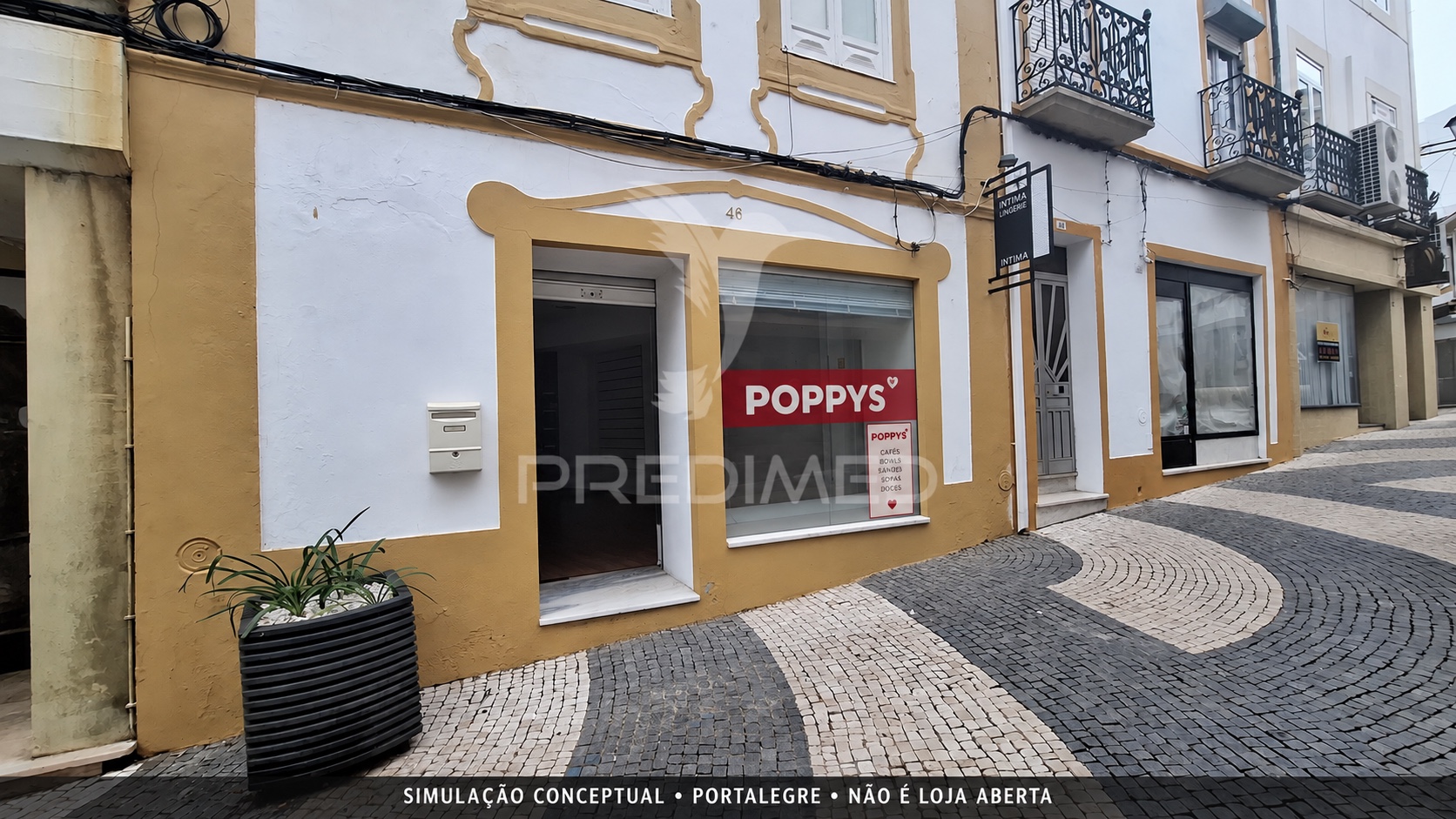 Estudo visual POPPYS para um imóvel em Portalegre; ver legenda para o tipo de vista e os limites